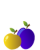 Prunes et pruneaux Prunes et pruneaux