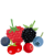 Framboises, mures, etc Framboises, mures, etc